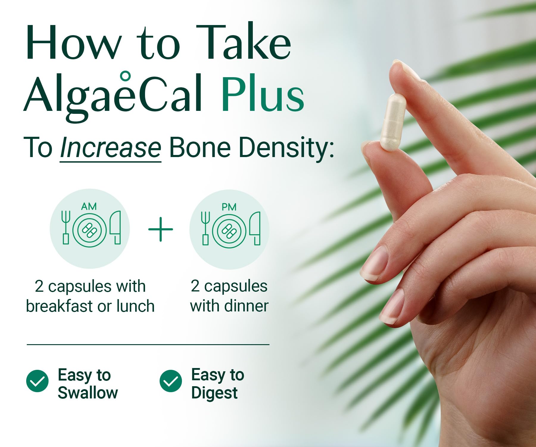 ALGAECAL Organic Red Algae Calcium Supplement for Bone for life & Strength, Vitamin K2 MK7 (100mg), Vitamin D3 (1600 IU), Magnesium (350mg) & Trace Minerals, Easy to Swallow, 120 Veggie Caps, 3 Packs