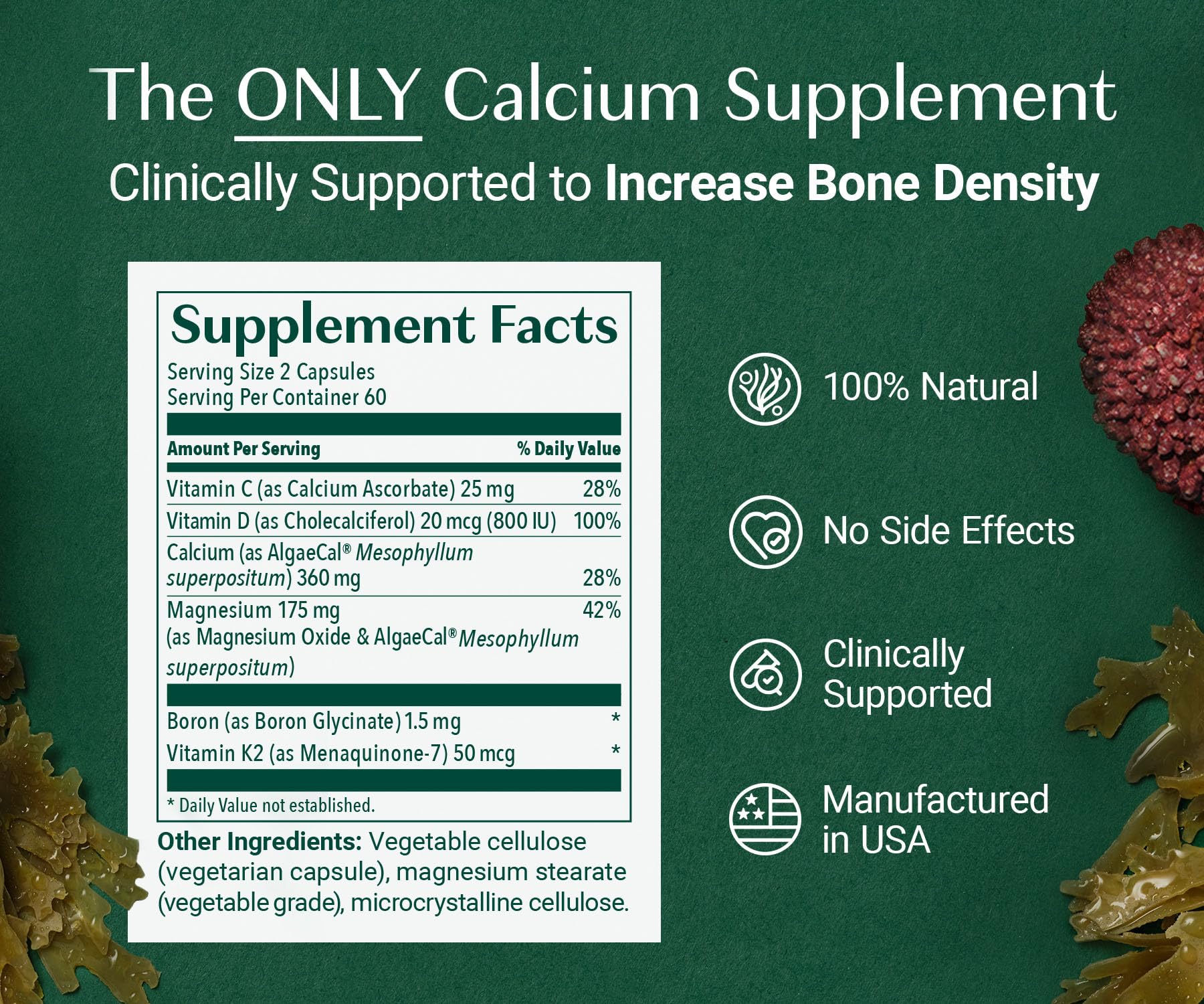 ALGAECAL Organic Red Algae Calcium Supplement for Bone for life & Strength, Vitamin K2 MK7 (100mg), Vitamin D3 (1600 IU), Magnesium (350mg) & Trace Minerals, Easy to Swallow, 120 Veggie Caps, 3 Packs