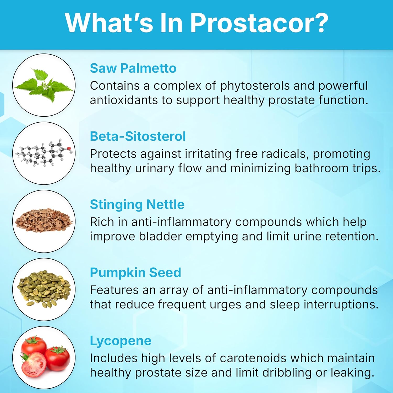 Natural Prostate Support Supplement - Non-GMO, Vegan, Gluten-Free