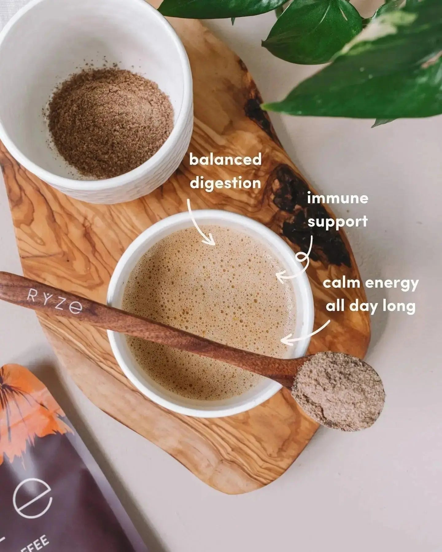 RYZE Mushroom Coffee Pack of 2 | 6 Adaptogenic Mushrooms | Organic | Instant Coffee | MCT Oil | Better Energy, Focus, Digestion, Immunity | Cordyceps, Lion’s Mane, Shiitake, Reishi, Turkey Tail, King Trumpet - Jia Sales