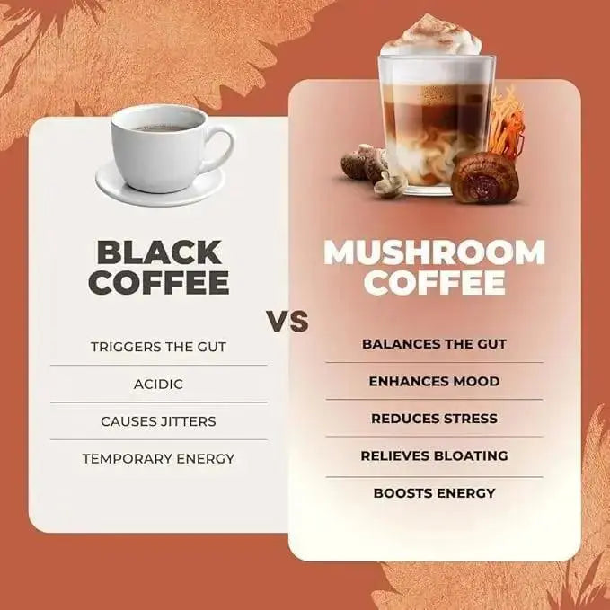 RYZE Mushroom Coffee Pack of 2 | 6 Adaptogenic Mushrooms | Organic | Instant Coffee | MCT Oil | Better Energy, Focus, Digestion, Immunity | Cordyceps, Lion’s Mane, Shiitake, Reishi, Turkey Tail, King Trumpet - Jia Sales